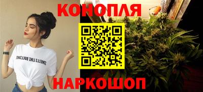 гидра Бузулук