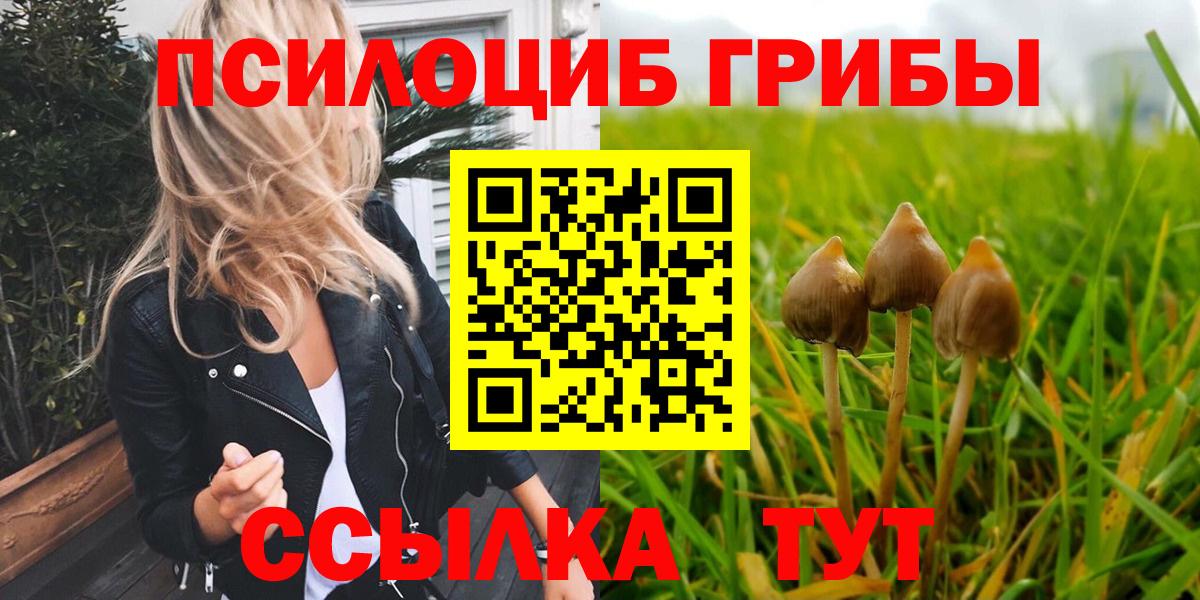 Галлюциногенные грибы Magic Shrooms Троицк